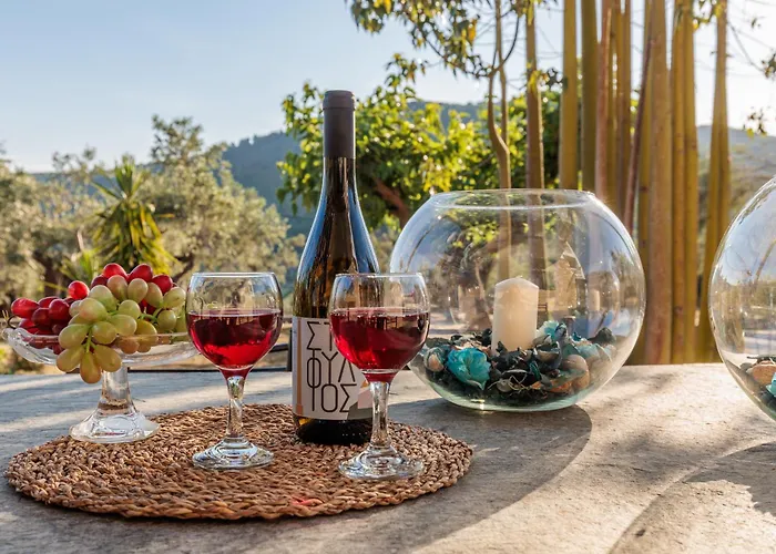 Guest house Kanaris 3*